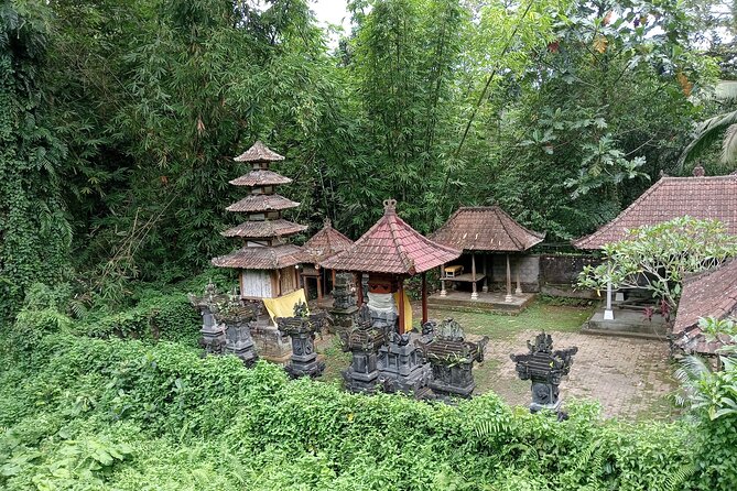Penglipuran Village Waterfall Swing Private Guided Tour - Stop 2: Kemenuh Monkey River Walk, Long-Tailed Monkeys in Their Realm