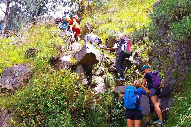 Popular Rinjani Trekking Tour Service To Summit For 2 Days Via Sembalun Trail - Food and Drinks on a 2-Day Summit Push