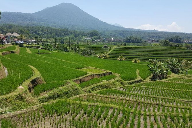 Private 4-Day Tours - Best Bali Tours Package - Best of Bali Highlights - Guides, Pace, and Why Private Care Matters in Bali