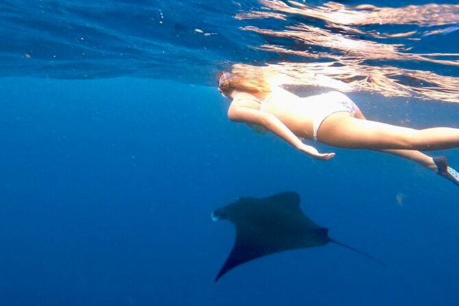 Private All Inclusive Nusa Penida Snorkeling and Tour - A Best-Of Nusa Penida Day, Without the Usual Guesswork