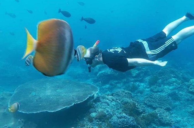 Private All Inclusive Nusa Penida Snorkeling and Tour - Manta Point Snorkeling: The Main Event for Real Marine Fans