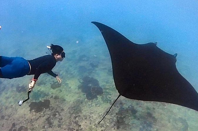 Private All Inclusive Nusa Penida Snorkeling and Tour - Kelingking Beach: The Iconic T-Rex Cliff, Plus the Steep-Part Reality