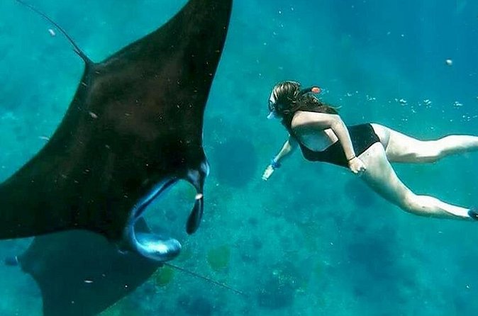 Private All Inclusive Nusa Penida Snorkeling and Tour - Private Transport Details That Affect Comfort More Than You Think