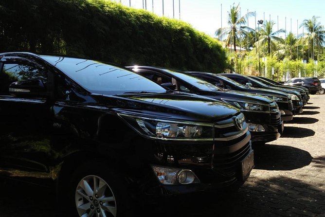 Private Bali Airport Arrival Transfer: Airport to Hotel (Arrival) - From DPS Arrival Hall to Your Hotel, Fast