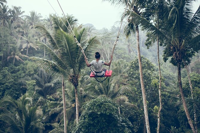 Private Bali Car Charter with Driver up to 6 People - Why Bali Needs a Driver More Than a Map