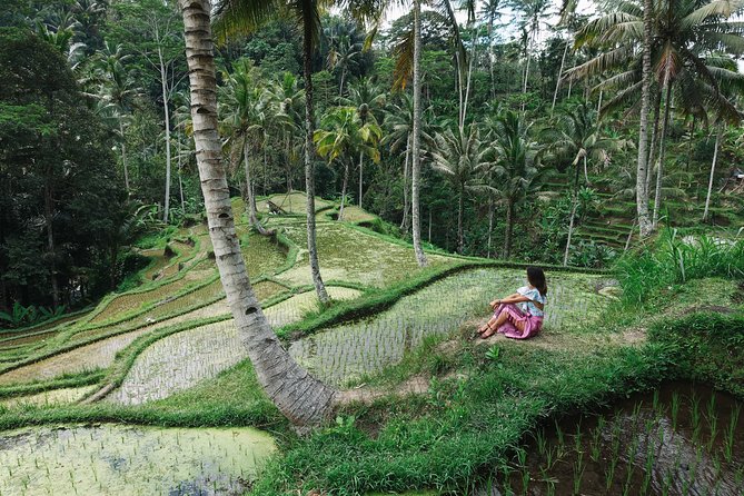 Private Bali Car Charter with Driver up to 6 People - A 10-Hour Plan: How the Route Usually Works