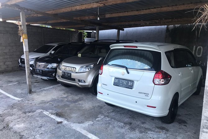 Private Bali Car Charter with Driver up to 6 People - Photo Stops and Quick Hits: Upside Down World, DMZ, and Beach Time
