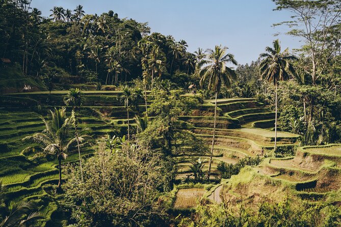 Private Bali Custom Tour – Full Day with English-Speaking Driver - Private Ubud Full Day: The appeal of a car, a driver, and real flexibility