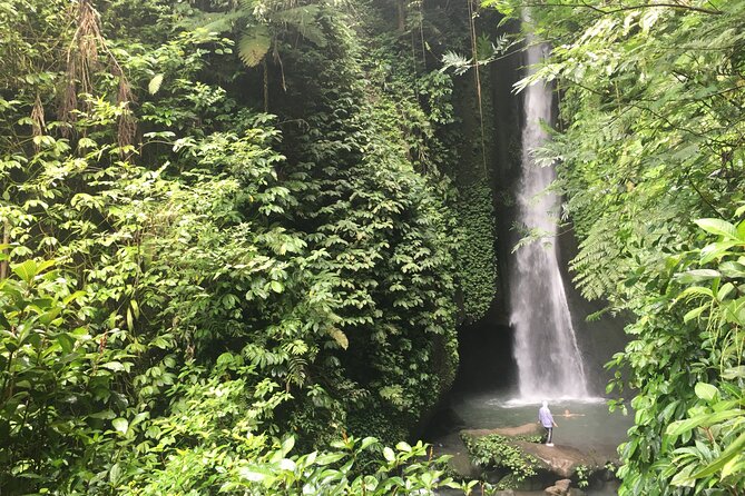 Private Bali Custom Tour – Full Day with English-Speaking Driver - Your stop menu around Ubud: choose your favorites, then let the day make sense