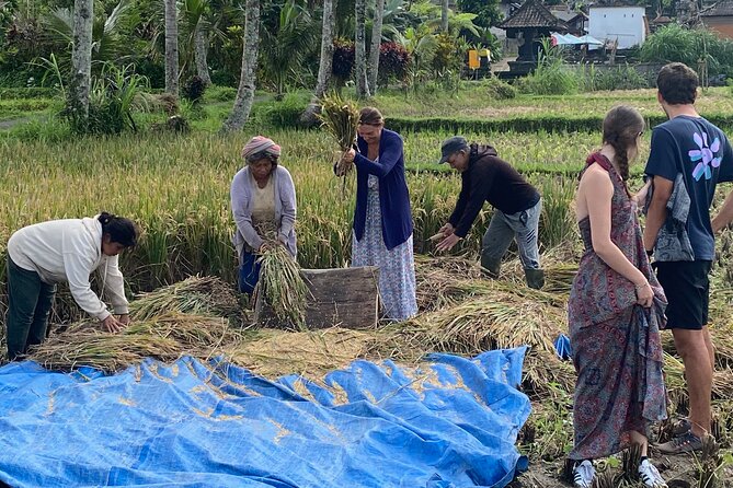 Private Bali Custom Tour – Full Day with English-Speaking Driver - What makes this tour feel worth it: the driver’s role