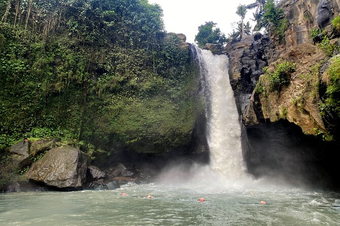 Private Bali Custom Tour – Full Day with English-Speaking Driver - Price and value: why it is affordable, and what still costs extra