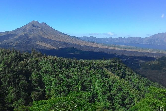 Private Bali Customized Tours - Price and what you actually get for $65 per group