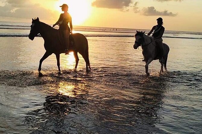 Private Bali Horse riding at saba beach - Price and value: is $43.79 per person a fair deal?