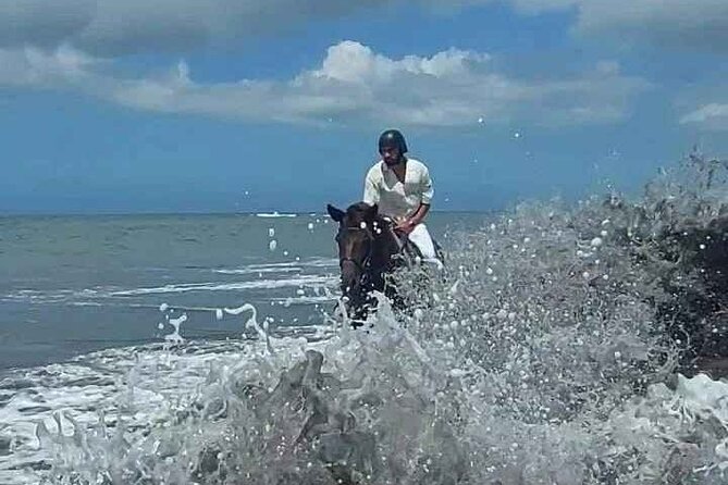 Private Bali Horse riding at saba beach - Who this ride suits best (and who should think twice)