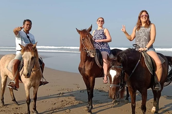 Private Bali Horse Riding In Seminyak Beach - Horses and Care: What You Can Learn From Guest Feedback