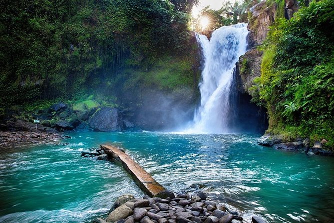 Private Bali swing, waterfall instagramable tour - Ubud in one day: waterfall, rice terraces, and a giant swing