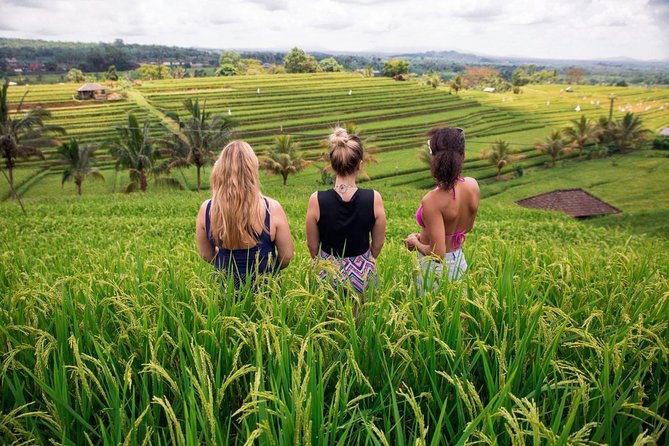 Private Bali Tour: The Most Scenic Places - Luhur Batukaru Temple: Mount Batukaru foothills and a calmer vibe