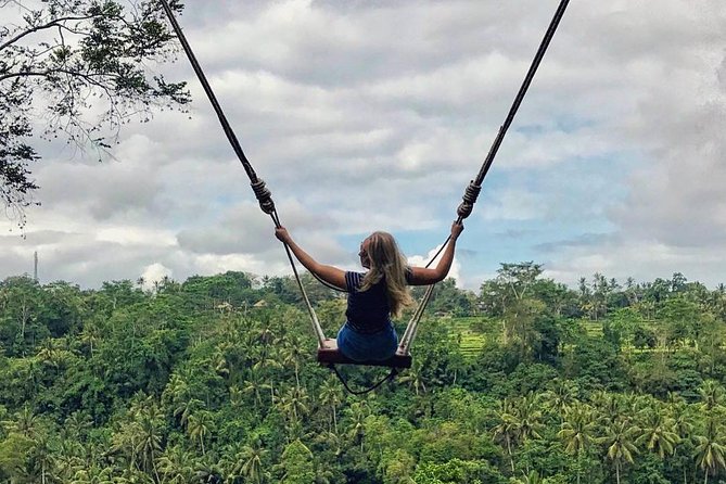 Private Bali Tour: Wonderful Ubud with Swing - Why This Ubud Day Tour Feels Like a Best-Of Without the Stress