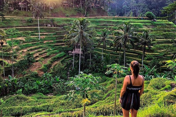 Private Bali Tour: Wonderful Ubud with Swing - Stop 2: Tegenungan Waterfall, the Place for a Little Splash
