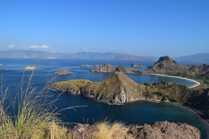 Private boat trip Komodo 2 or more person for 3 days 2 nights, Kelor, Rinca... - Wildlife you can plan for: dragons, manta rays, turtles, and flying foxes