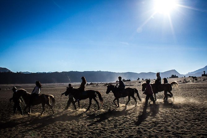Private Bromo Sunrise Tour (All included) - What makes the guide experience feel personal