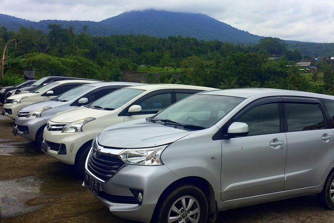 Private Car Charter - Explore Best of Bali - A Bali road day that feels like your own plan