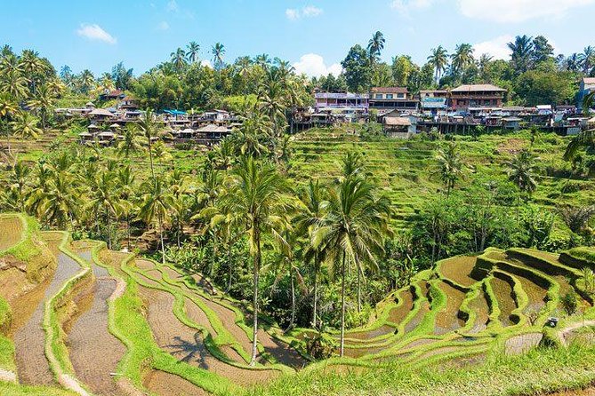 Private Car Charter - Explore Best of Bali - Should you book Explore Best of Bali with a private charter?