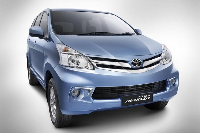 Private Car Charter Tour With Driver In Bali - Your driver experience: what made the days feel smooth