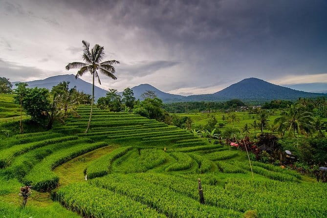 Private Chartered Car to Bali Temples With Besakih Temple - Tirta Empul in Tampaksiring: purification and clear rules