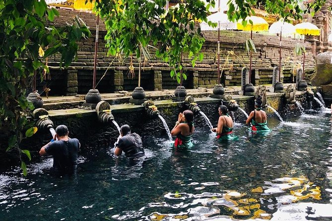 Private Custom Tour: 10-hour Tailor Made Tour of Bali - Price and value check, what $34 per person really means