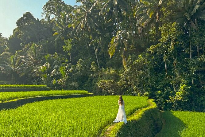 Private Customize Ubud Day Tour With Experienced Driver - Your driver’s role in a private Ubud day