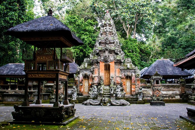 Private Customize Ubud Day Tour With Experienced Driver - Tegalalang Rice Terrace: iconic views with real photo payoff