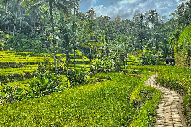 Private Customize Ubud Day Tour With Experienced Driver - Monkey Forest Sanctuary: jungle temples and the long-tailed macaques