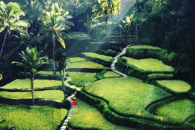 Private Customized Tour with Local Guide - A Full-Day Bali Mix You Can Actually Control