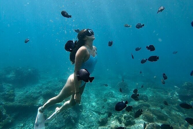 Private Customized Tour with Local Guide - Starting From Kuta: Getting Beyond the Tourist Bubble