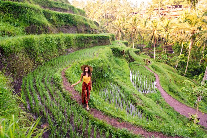 Private Day Tour: The Highlight of Ubud - Sacred Monkey Forest Sanctuary: gray macaques and temple life in the trees
