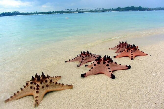Private Day Trip Tour To Secret Gilis - The day’s rhythm: from Kebon Roek to four small Gili islands