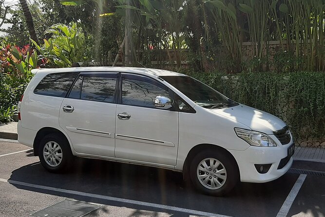 Private Driver in Bali with English Speaking - Private car comfort in Ubud: why this format works