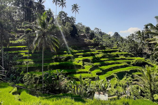 Private Driver in Bali with English Speaking - How the full day flows: a practical timing view