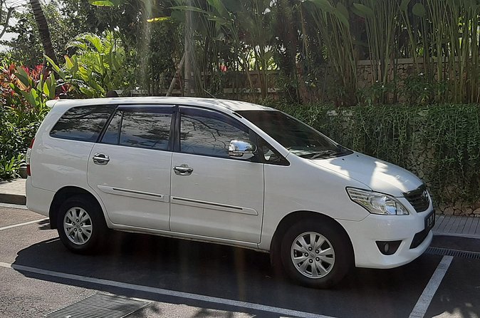 Private Driver in Bali with English Speaking - Tegenungan Waterfall: a quick start with big payoff