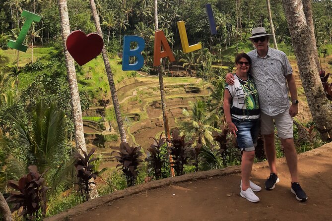 Private Driver in Bali with English Speaking - Price and value: what you really get for $29 per person