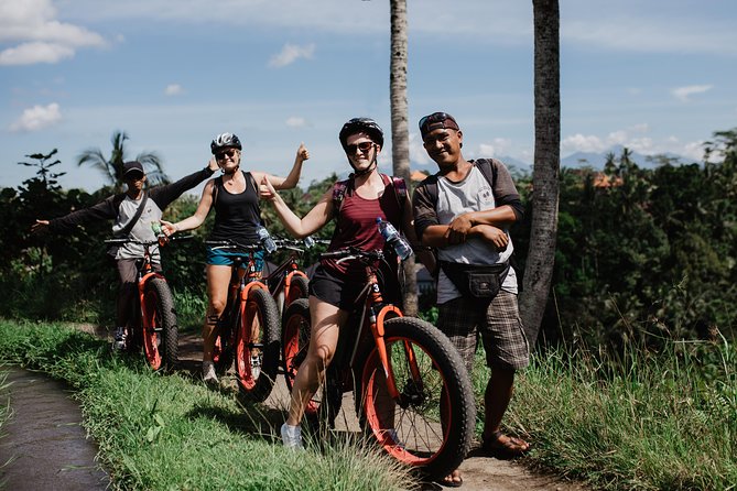 Private Fat Tire E-Bike Tour in Ubud - The short stop at Tegalalang Rice Terrace