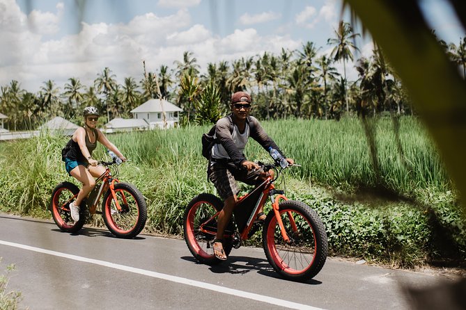 Private Fat Tire E-Bike Tour in Ubud - What the guide adds: culture, calm roads, and Wayan’s pace
