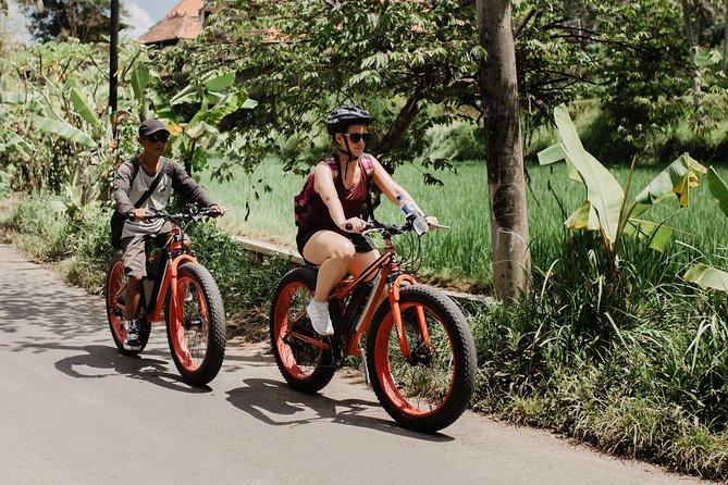 Private Fat Tire E-Bike Tour in Ubud - Snacks, water, and the real comfort of a half-day ride