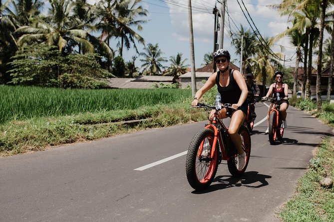 Private Fat Tire E-Bike Tour in Ubud - Who this tour suits best, and who may want to rethink it