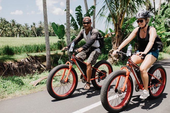 Private Fat Tire E-Bike Tour in Ubud - Picking your own route: rice fields, forest, and ridge views