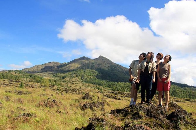 Private Full-Day Bali Sightseeing Tour with Pickup and Lunch - Stop 1: Tegalalang Rice Terrace, real terraces, real scale