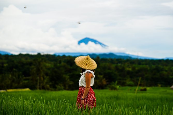 Private Full-Day Bali Tour - Who this private full-day Bali tour fits best