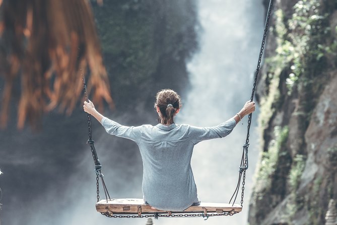 Private Full-Day Bali Tour - The private driver guide experience, and how strong it can be