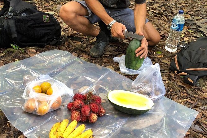 Private Full-Day Bukit Lawang Trekking Tour From Medan - Lunch in the jungle: why the included food is a real value